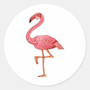 Sticker Rond Flamant rose Franklin