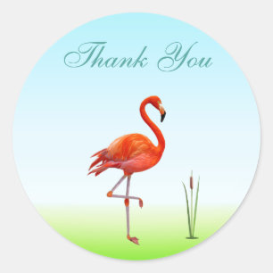 Sticker Rond Flamant rose & plante de roseau Merci