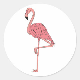 Sticker Rond Flamant rose rose