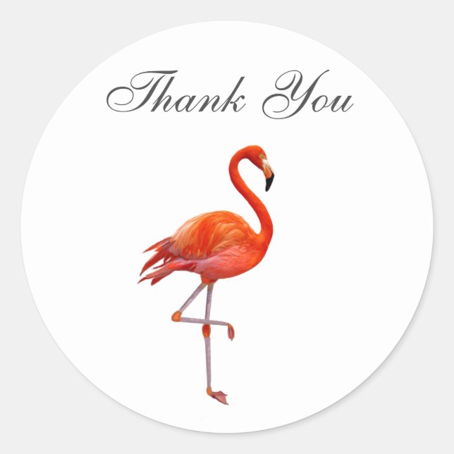 Sticker Rond Flamant rose rose sur Merci Arrière - plan blanc (Devant)