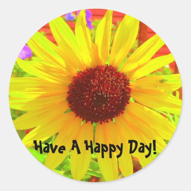 Sticker Rond Flambée de soleil (Devant)