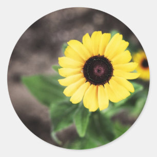 Sticker Rond Fleur 1