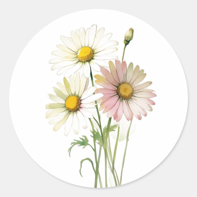 Sticker Rond Fleur aquarelle moderne professionnelle Daisy (Devant)