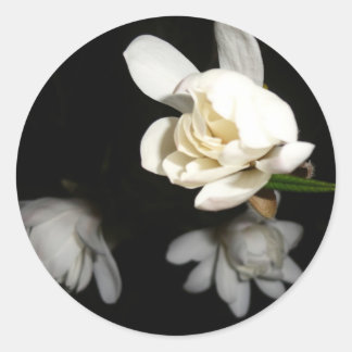 Sticker Rond Fleur blanche de nuit Jasmine Beauté Pure Mariée T