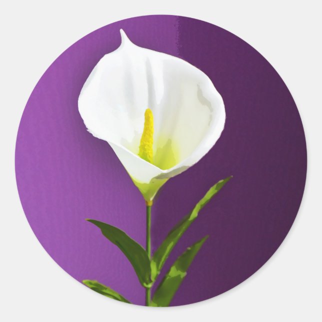 Sticker Rond Fleur Cala Lily (Devant)