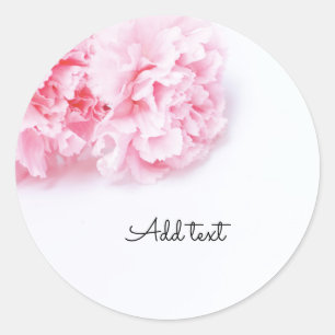 Sticker Rond Fleur carnation rose sur arrière - plan blanc