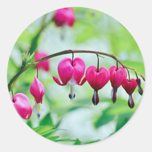 Sticker Rond Fleur de coeur rose