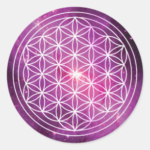 Sticker Rond Fleur de Galaxie rose Life