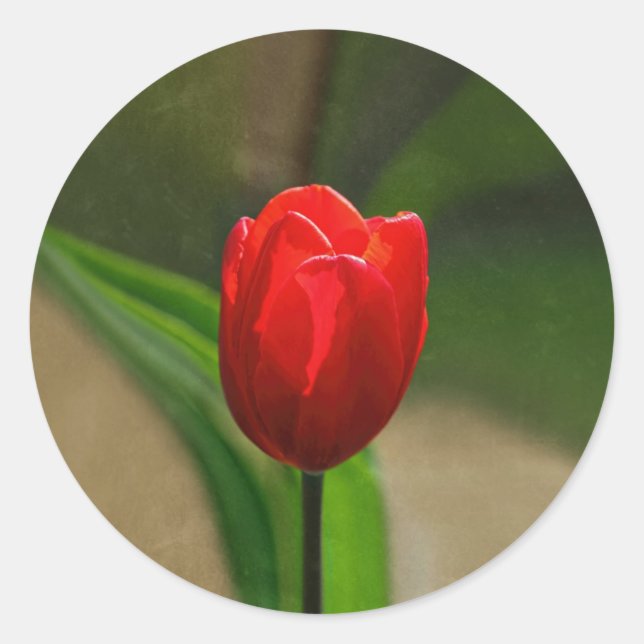 Sticker Rond Fleur de printemps de la Tulipe rouge (Devant)