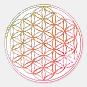 Sticker Rond Fleur de vie   petit