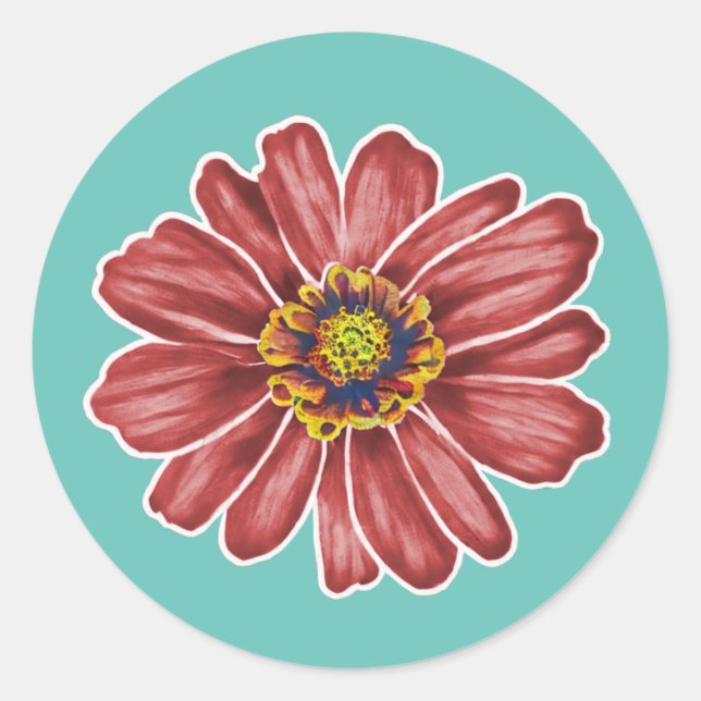 Sticker Rond Fleur de Zinnia (Devant)