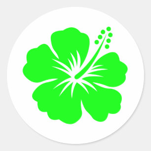 Sticker Rond Fleur d'hibiscus de chaux