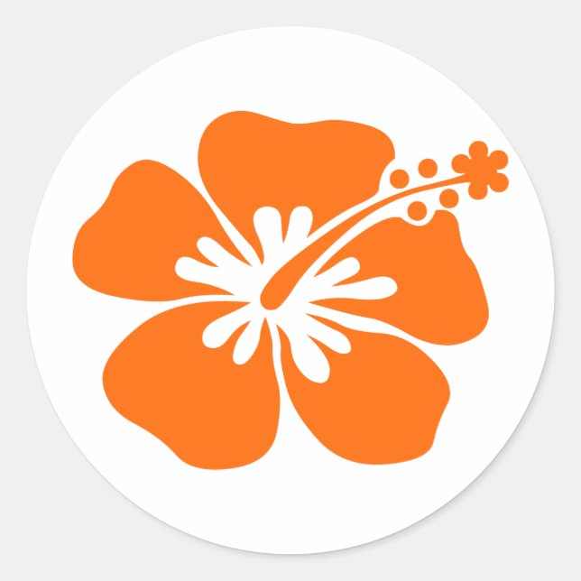 Sticker Rond Fleur d'hibiscus orange (Devant)