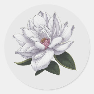 Sticker Rond Fleur douce Magnolias