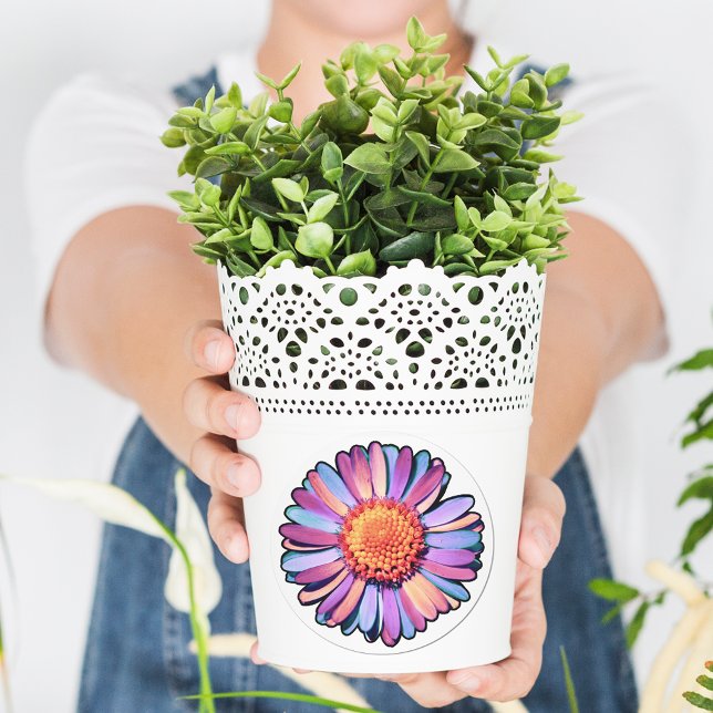 Sticker Rond Fleur mignonne violet rose bleu Boho Daisy Bisexua (Créateur téléchargé)