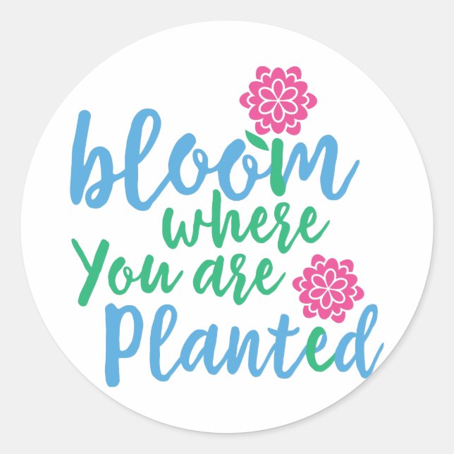 Sticker Rond Fleur Où vous êtes planté (Devant)