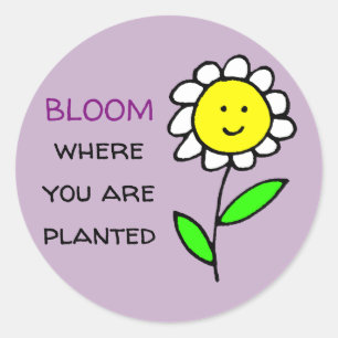 Sticker Rond Fleur Où Vous Êtes Plantés