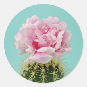 Sticker Rond Fleur rose Au-Dessus de Spiky Cactus