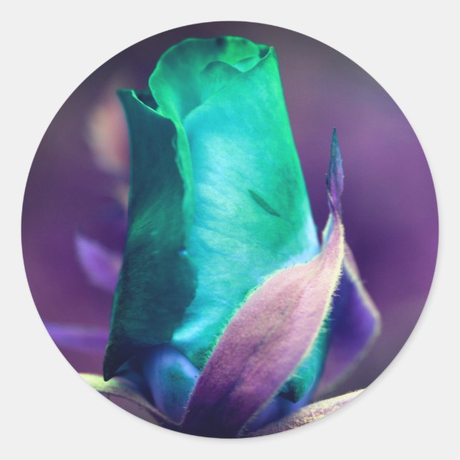 Sticker Rond Fleur Rosebud Turquoise Abstraite (Devant)