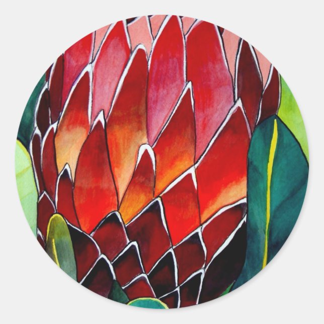 Sticker Rond Fleur rouge Protea art original aquarelle (Devant)
