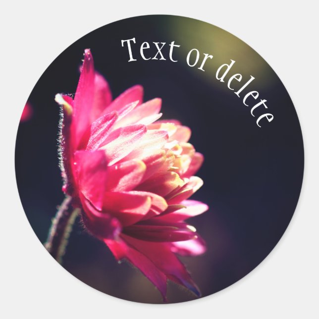 Sticker Rond Fleur rouge soleil Personnalisé (Devant)