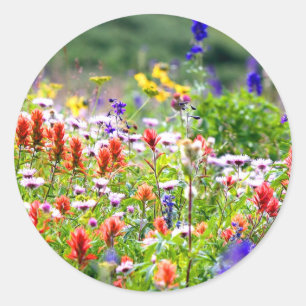 Sticker Rond Fleur sauvage