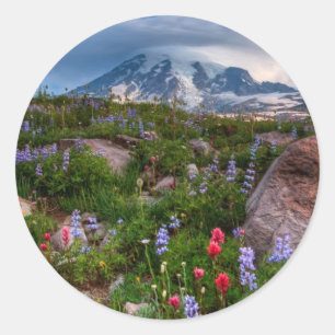 Sticker Rond Fleur sauvage