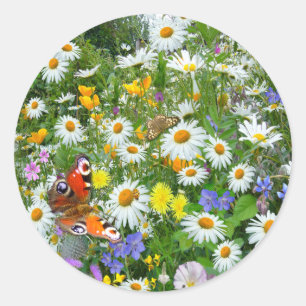 Sticker Rond Fleur sauvage
