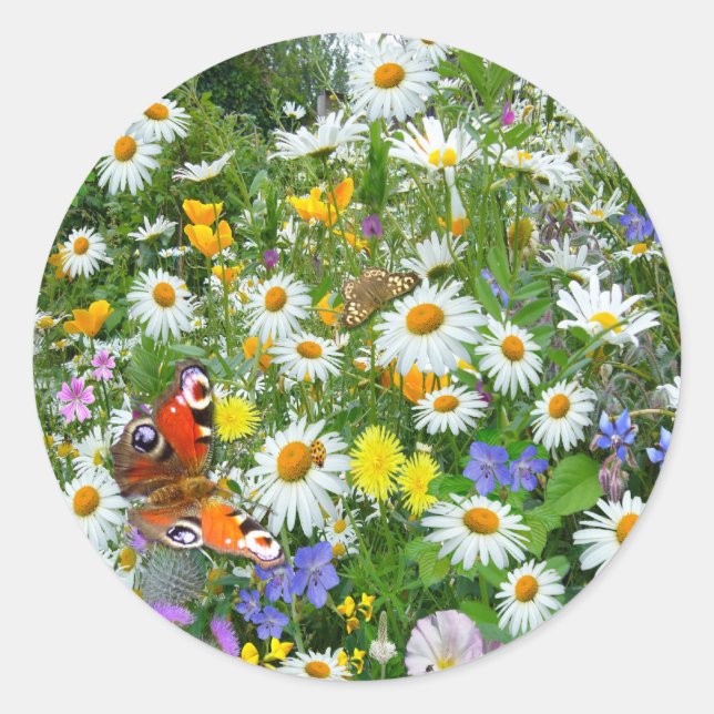 Sticker Rond Fleur sauvage (Devant)