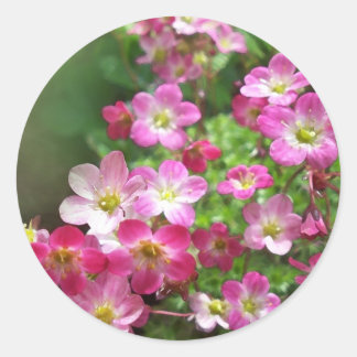 STICKER ROND FLEUR SAUVAGE 1