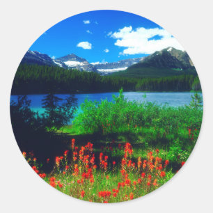 Sticker Rond Fleur sauvage indien de pinceau