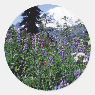 Sticker Rond Fleurs 139