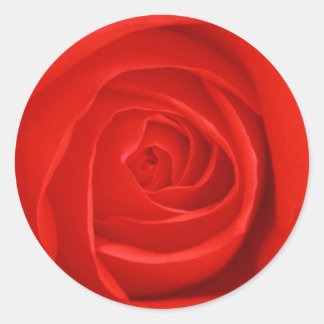Sticker Rond Fleurs 55