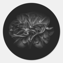 Sticker Rond Fleurs 67 BW
