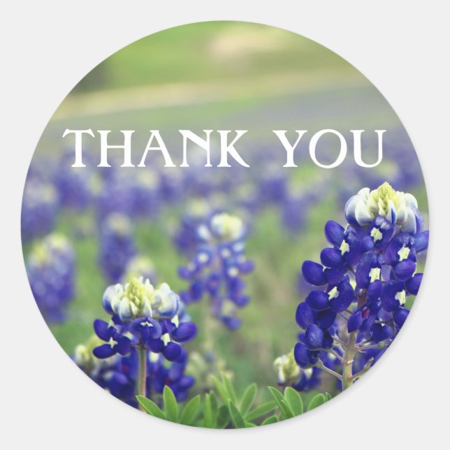 Sticker Rond Fleurs bleues de bleuets du Texas Floral  (Devant)
