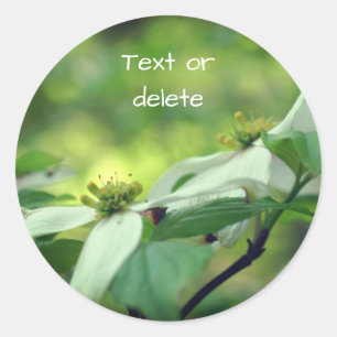 Sticker Rond Fleurs de bois de chien blanc personnalisées