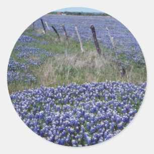 Sticker Rond Fleurs de bonnets bleu jaune