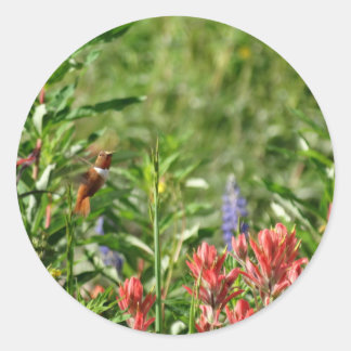 Sticker Rond Fleurs de colibri