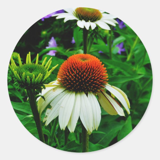 Sticker Rond Fleurs de cônes blanches et orange (Devant)