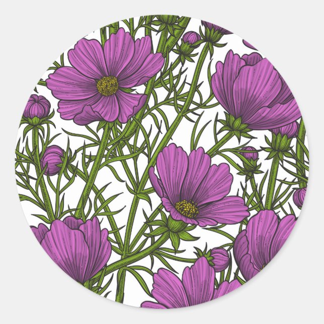 Sticker Rond Fleurs de cosmos violet (Devant)
