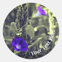 Fleurs de gloire du matin personnalisées