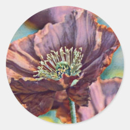 Sticker Rond Fleurs de pavot rouge pourpre orange aquarelle