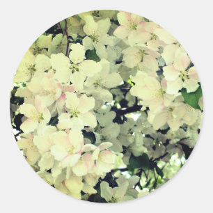 Sticker Rond Fleurs de printemps blanches