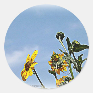 Sticker Rond Fleurs de soleil sauvages