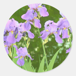 Sticker Rond Fleurs d'Iris