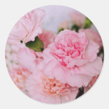 fleurs d'oeillets roses Photographie de style vint