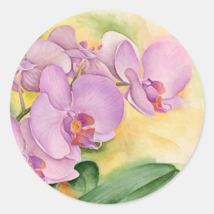 Sticker Rond Fleurs d'orchidées Phalaenopsis - Multi