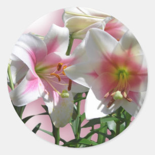 Sticker Rond Fleurs Fleurs Fleurs Printemps Jardin Amour Douche
