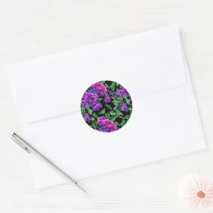 Sticker Rond Fleurs florales aquarelles magenta violet élégant