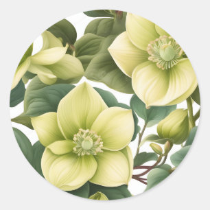 Sticker Rond Fleurs Hellebore Élégantes